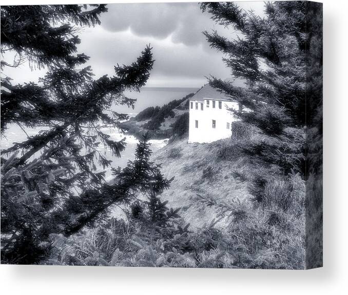 Cape Canvas Print featuring the photograph Cape Foulweather by Lora Fisher Photography