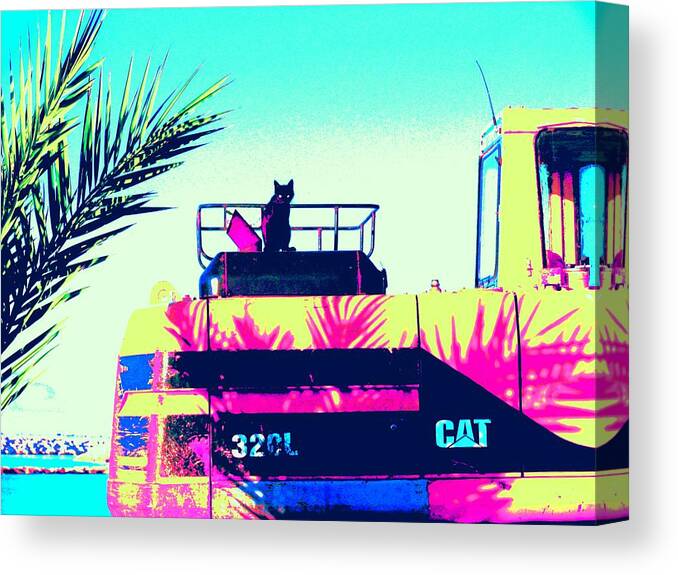 Bull Dozer Canvas Print featuring the photograph CAT by Anita Dale Livaditis