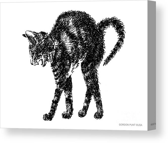 Cat Canvas Print featuring the drawing Cat-Artwork-Prints-2 by Gordon Punt