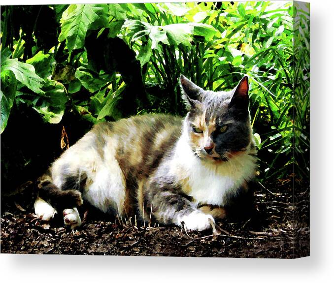 Cat Canvas Print featuring the photograph Cat Relaxing in Garden by Susan Savad