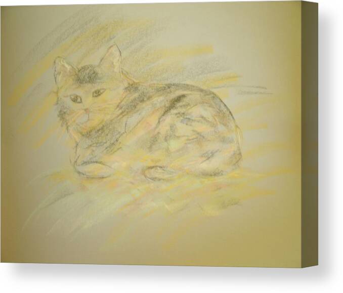 Cat Canvas Print featuring the pastel Cat Sketch 2 by Samantha Lusby