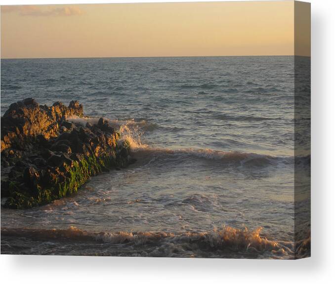 Sea Canvas Print featuring the photograph Charley Young Beach Sunset by Marilyn Wilson
