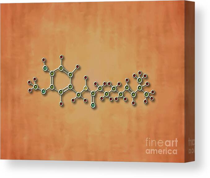 Chili Pepper Canvas Print featuring the painting Chili Pepper Molecule by Pet Serrano