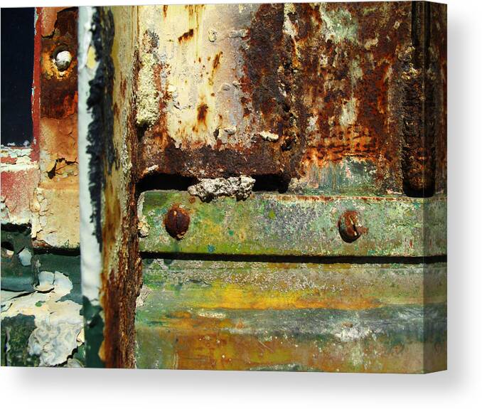 Rust Canvas Print featuring the photograph Colors by Steve Parr