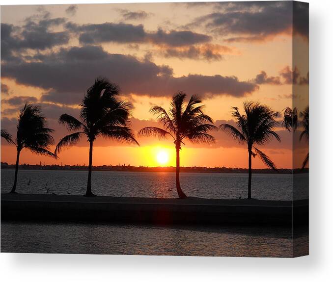 Palm Trees Canvas Print featuring the photograph Cudjoe Sunrise by Clara Sue Beym