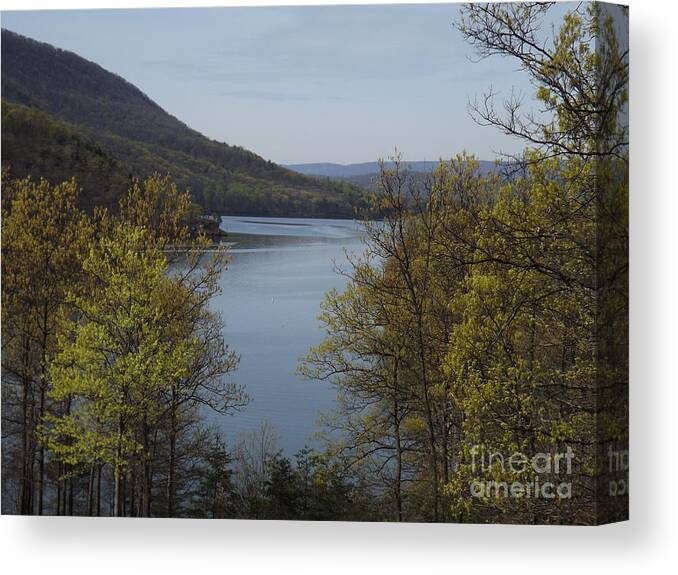 Lake Canvas Print featuring the photograph Day At The Lake by Chad Thompson