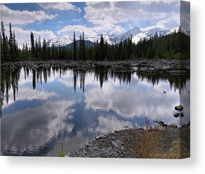 Alberta Canvas Print featuring the photograph Dead Wood in Pond by Roderick Bley