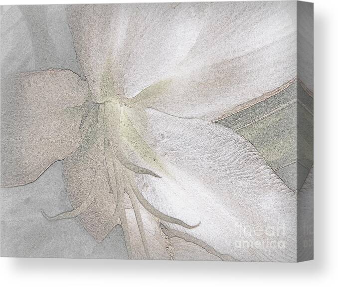 Lily Canvas Print featuring the photograph Ebb by Priscilla Richardson