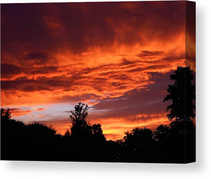 Nature Canvas Print featuring the photograph Evening Waltz by Sheila Silverstein