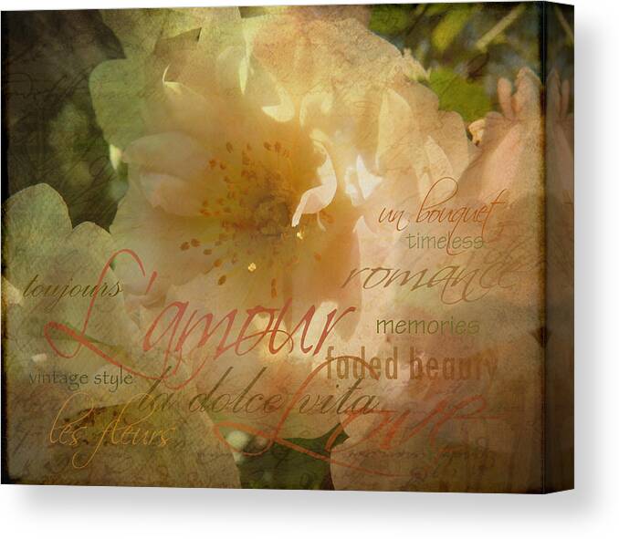 Rose Canvas Print featuring the photograph Faded Beauty by Carla Parris