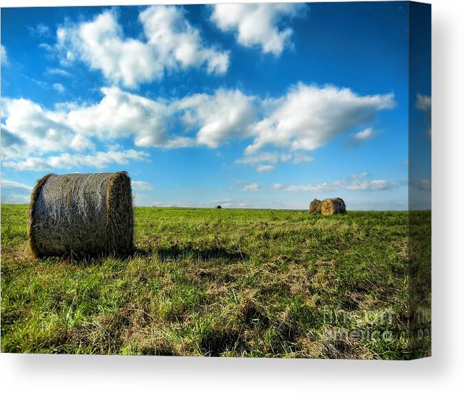 Fall Harvest Canvas Print featuring the photograph Fall Harvest by Mariola Bitner