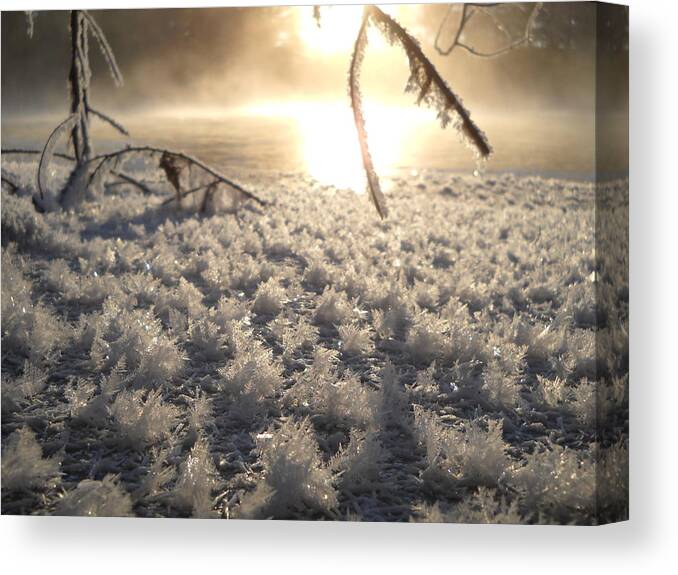 Fractals Canvas Print featuring the photograph Fanciful Frosty Fractal Forest by Kent Lorentzen