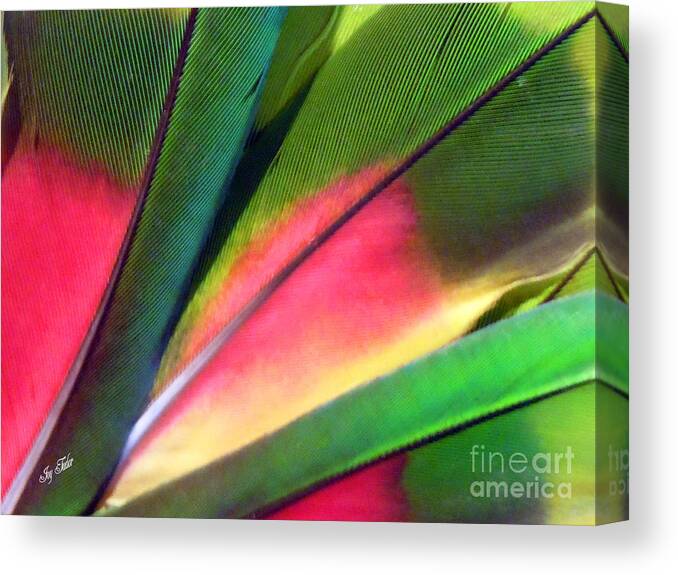 Feathers Canvas Print featuring the photograph Feather Pretty by Joy Tudor