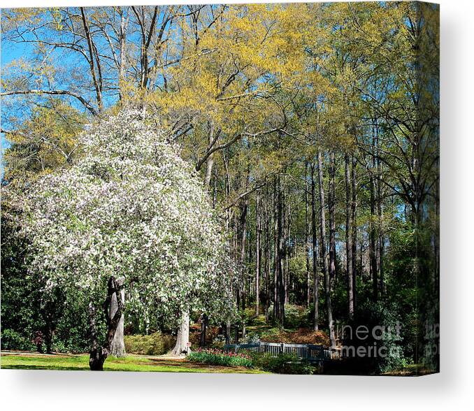 Landscape Canvas Print featuring the photograph Flowering Garden by Shijun Munns