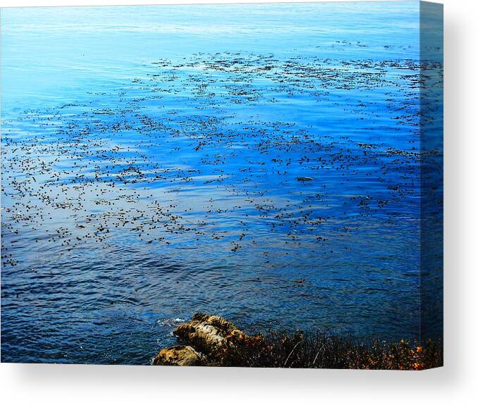 Fort Ross Canvas Print featuring the photograph Fort Ross Russian Settlement by Kelly Manning