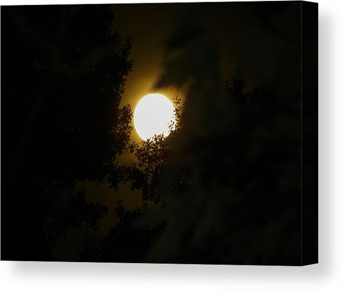 Background Canvas Print featuring the photograph Full Moon by Ester McGuire