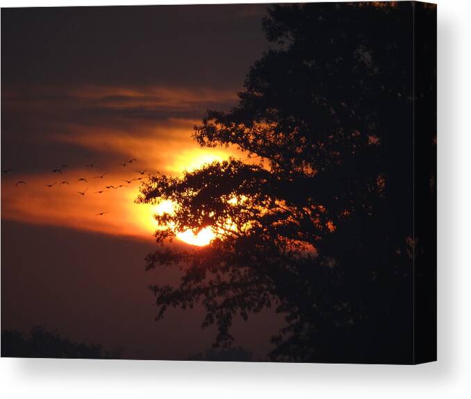 Geese Canvas Print featuring the mixed media Geese in the Sunrise by Bruce Ritchie