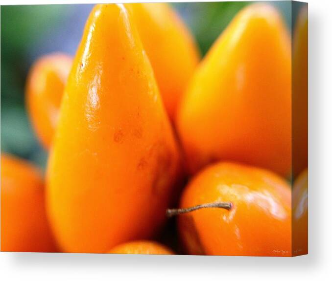 Photo Art Canvas Print featuring the photograph Ghost in the Pepper by Chriss Pagani