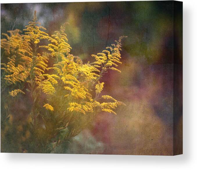 Floral Canvas Print featuring the photograph Golden by Brenda Bryant