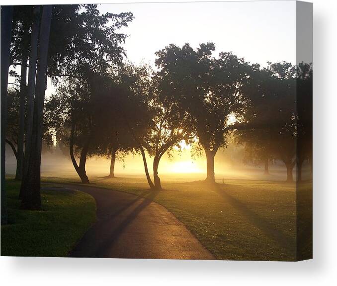 Sunrise Canvas Print featuring the photograph Good Morning World by Sheila Silverstein