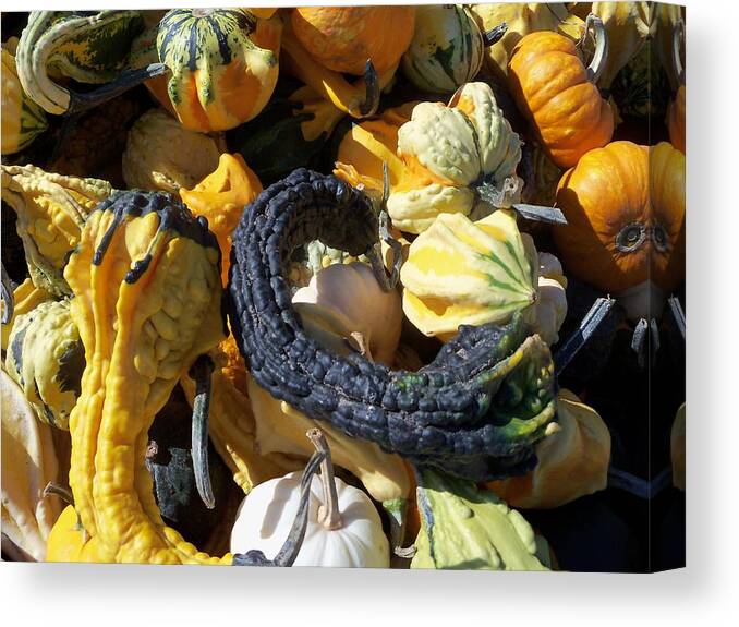 Sandy Collier Canvas Print featuring the photograph Gourds Too by Sandy Collier