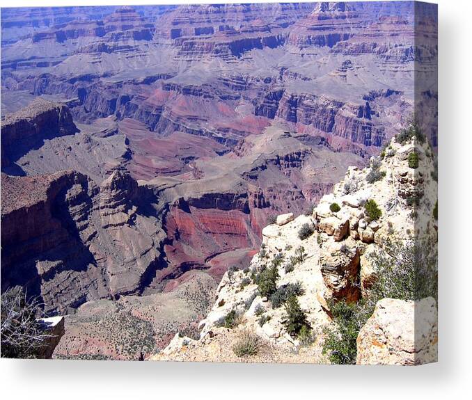 Grand Canyon Canvas Print featuring the photograph Grand Canyon 44 by Will Borden