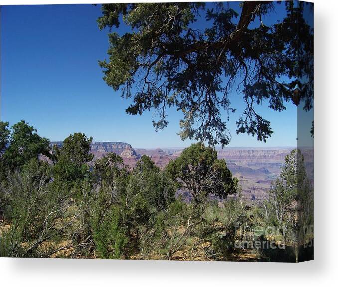 Grand Canyon Canvas Print featuring the photograph Grandview Framed by Trees by Charles Robinson