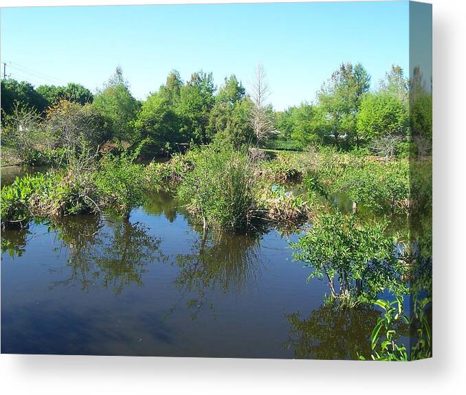 Nature Canvas Print featuring the photograph Harmony by Sheila Silverstein