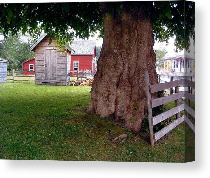 Sherbrooke Pioneer Village Canvas Print featuring the photograph HISTORY Sherbrooke Village Nova Scotia by William OBrien