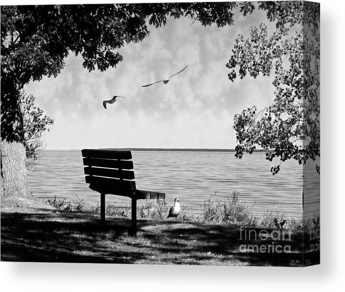 Landscape Canvas Print featuring the photograph In Flight by Ms Judi