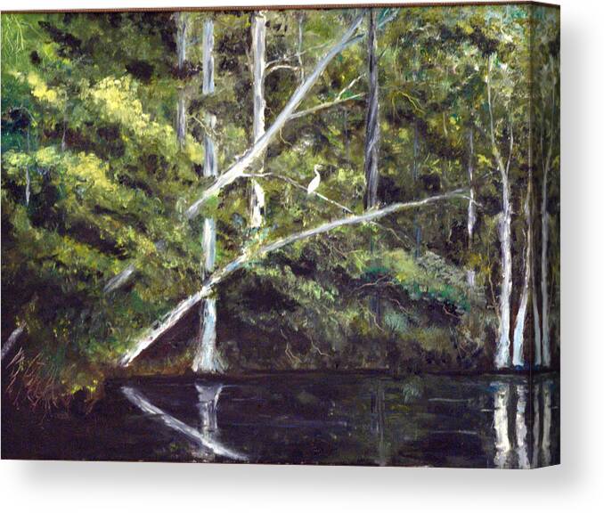 Jackson Bluff Canvas Print featuring the painting Jackson Bluff on the Waccamaw River by Phil Burton