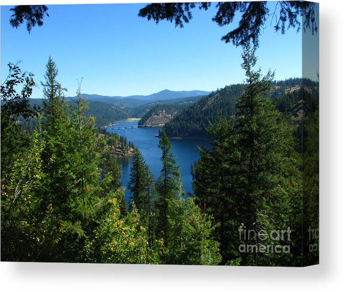 Art For The Wall...patzer Photography.coeur D'alene Lake Canvas Print featuring the photograph Just Look by Greg Patzer