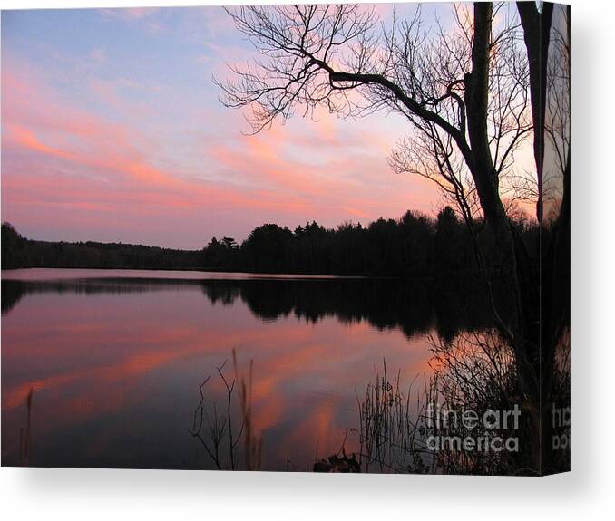 Landscape Canvas Print featuring the photograph Killingly Pond Reflection III by Lili Feinstein