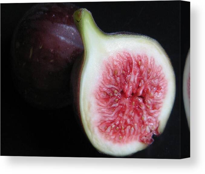 Fig Canvas Print featuring the photograph Kitchen - Garden - Forbidden Fruit by Susan Carella