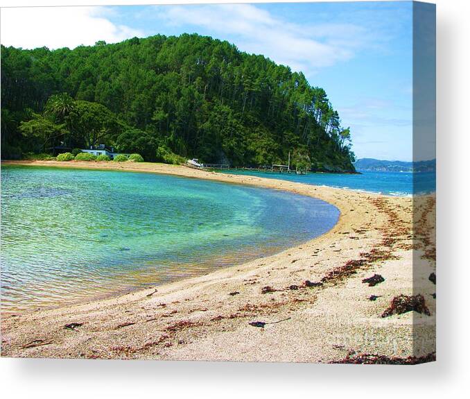 New Zealand Canvas Print featuring the photograph Lagoon on Roberton Island by Michele Penner