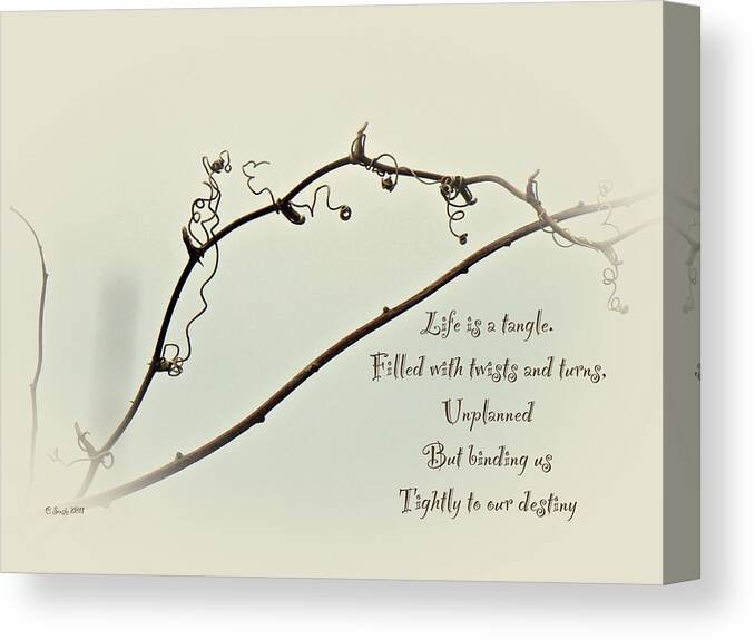 Bramble Canvas Print featuring the photograph Life is a Tangle by Carol Senske
