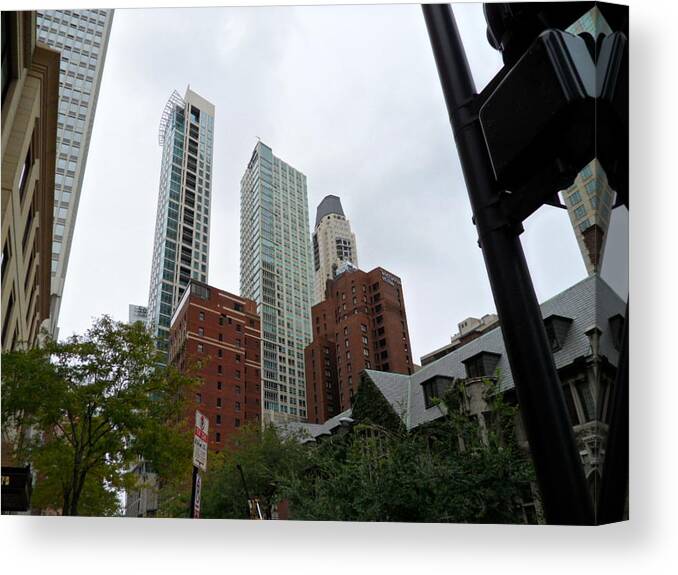 Landscape Canvas Print featuring the photograph Looking Up by Val Oconnor
