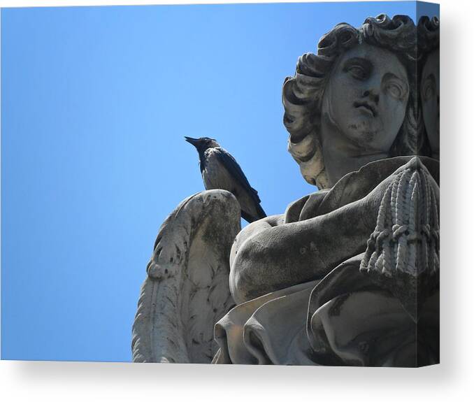 Bird Canvas Print featuring the photograph Lookout by Laurel Best