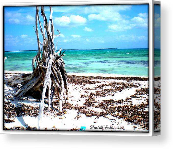 Beach Canvas Print featuring the photograph Lost Paradise The Sequel 3 by Danielle Parent