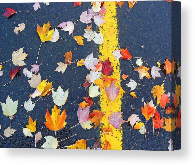 Autumn Canvas Print featuring the photograph Lot of Color by Pamela Patch