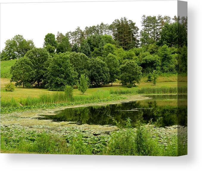 Pond Canvas Print featuring the photograph Lush Green by Azthet Photography
