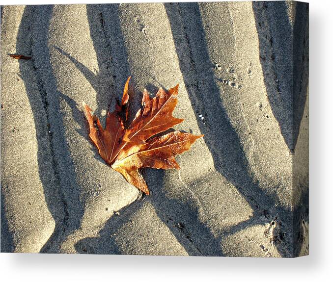 Maple Leaf Canvas Print featuring the photograph Maple Leaf Forever by Marilyn Wilson