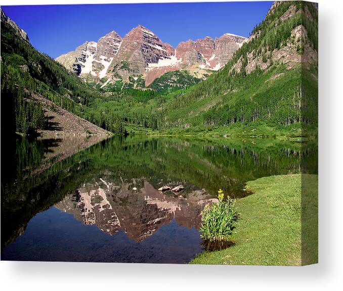 Aspen Canvas Print featuring the photograph Maroon Bells Shoreline by Rick Wicker