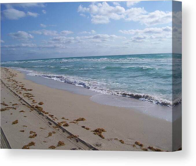 Beach Canvas Print featuring the photograph Miami in the morning by Sheila Silverstein