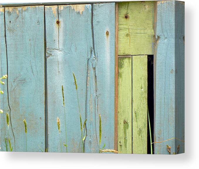 Abstract Canvas Print featuring the photograph Missing Link by Pamela Patch