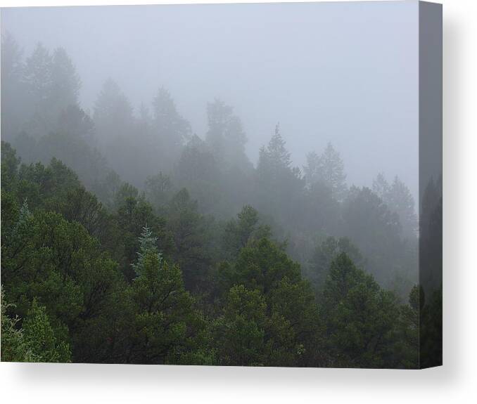 Mountain Canvas Print featuring the photograph Misty Mountain Morning by Charles and Melisa Morrison