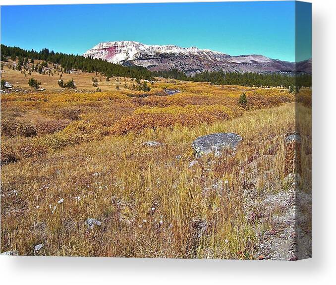 Montana Canvas Print featuring the photograph Montana100 0885 by Michael Peychich