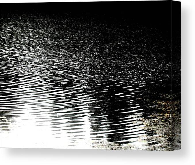 Black Canvas Prints Canvas Print featuring the photograph Moonlight sparkle by Pauli Hyvonen