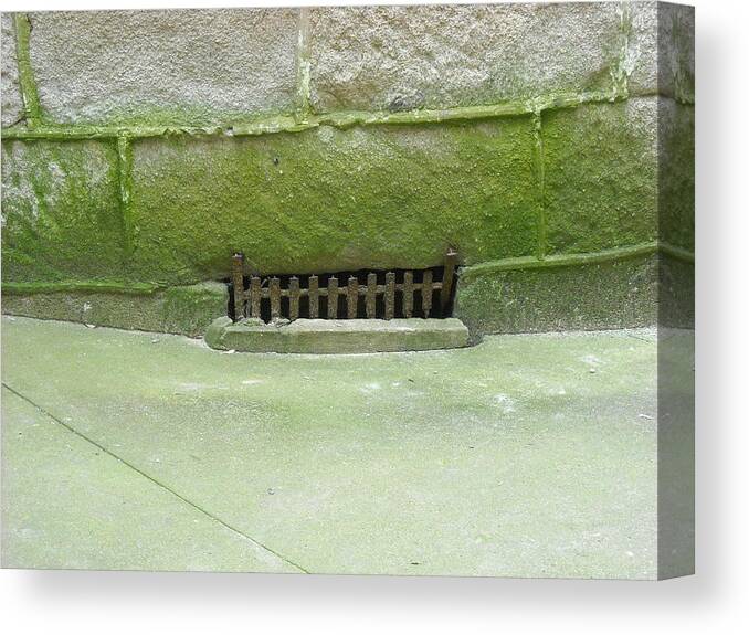 Ennis Canvas Print featuring the photograph Mossy Grate by Christophe Ennis