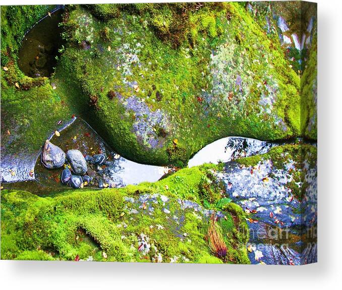 Moss Canvas Print featuring the photograph Mossy Rocks and Water Reflections by Michele Penner